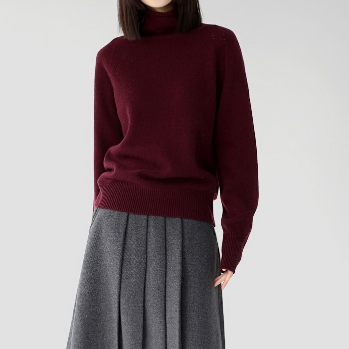 Land turtleneck knit top